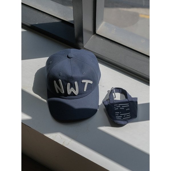 Nice Walk Today Ballcap_Navy