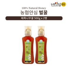 [바로배송][농협안심벌꿀] 때죽나무 꿀 500g x 2병