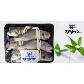 천일염으로 염장한 제주백조기 왕특 10미 2.1kg 26cm내외/엮걸이