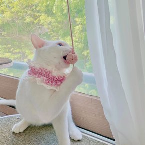 [개달당] 마크라메 공 깃털 고양이 막대 장난감