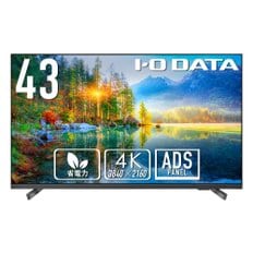 IODATA 43 4K UHD ADS 350cdm2 모니터 인치 패널 광시야 18시간 연속 가동 사이니지 회의실