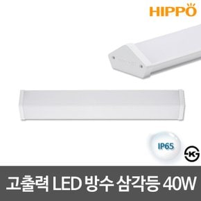 고효율 LED방수삼각등기구 LED방수등 40W/100W