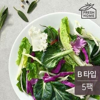  프레쉬홈 이지 샐러드 B타입 90gx5팩 (450g)