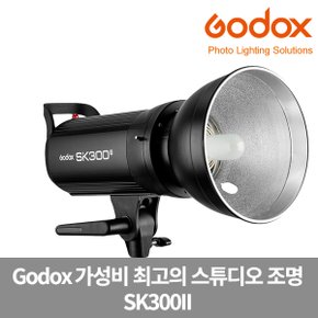 SK300II 스튜디오 조명 무선광량제어 촬영조명 가우포토 공식정품