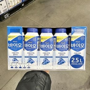 매일 바이오 드링킹 요거트 블루배리 250ml x 10개 코스트코