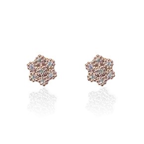 E118 14K/18K Diamond Earrings PG (14K gold)