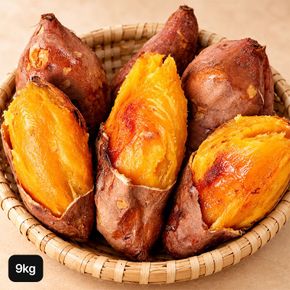 다모 해남 특등급 호박고구마 4.5kg+4.5kg(총 9kg)[36237555]