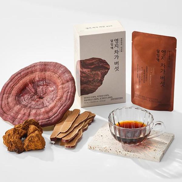 영지차가버섯달임액