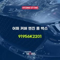 현대모비스어퍼 커버 엔진 룸 박스 (91956K2201)