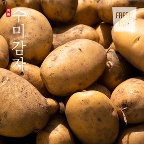 [산지직송] 포슬포슬 쫀득한 햇 수미감자 왕특품 10kg (160g이상)
