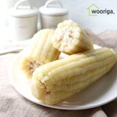 냉동 삶은 백찰옥수수 36개(12~14cm내외)