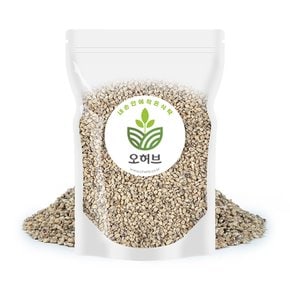 국산 자색보리 자수정보리 자맥 1kg