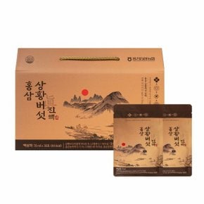 풍기인삼농협 홍삼 상황버섯 진액 70ml x 30포