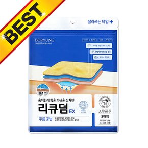 제약 리큐덤 EX 잘라쓰는 타입 3매입 X 1개