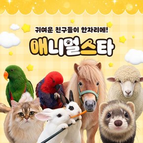 대전 아이랑 가볼만한곳!!애니멀스타(실내동물원&동물체험)(~12/31)