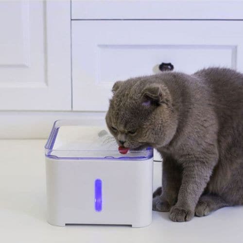 이미지2