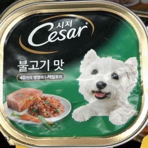 시저 Cesar 불고기 맛 강아지 애견 반려견 사료 100g (WA6AED5)