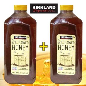 2개 Kirkland 코스트코 와일드플라워 꿀 허니 2.27 kg 아르헨티나 A등급 2.27 kg 빠른직구