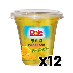 Dole 돌 후룻컵 망고컵 198g x 12개