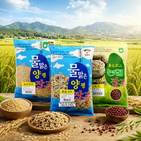 청운농협 건강하게 자란 농협쌀[현미/혼합곡/찰보리/서리태/찰수수 등]