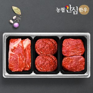 농협안심한우 1등급 감사혼합세트 (꽃등심+불고기+장조림)/팩당400g/총1.2kg