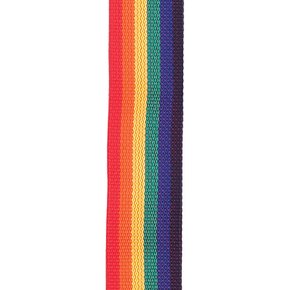 폴리프로 기타스트랩 POLYPRO GUITAR STRAP PWS100 무지개