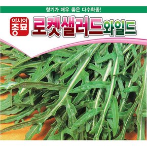 루꼴라씨앗종자 와일드로켓샐러드 (1kg)