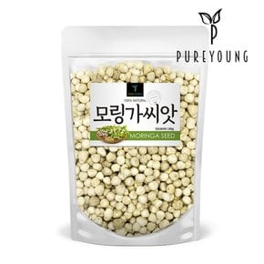 모링가 씨앗 300g