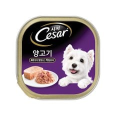 시저 강아지캔  양고기 100g X 3개