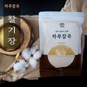 식탐대첩 1893 하루잡곡 국내산 찰기장쌀 500g