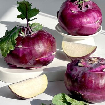 원더랜드 [프레쉬서비스] 제주 콜라비 10kg(알뜰혼합과)