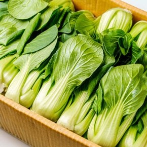 프레시 아삭한 국내산 청경채 1kg