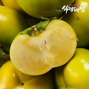 아삭한 태추단감 2kg 중대과 9-11과