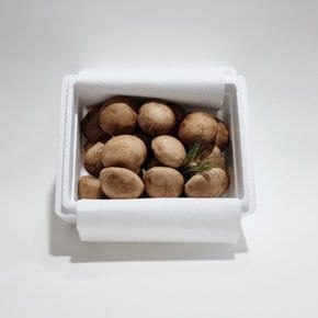 국산 표고버섯 생표고버섯 고급선물형1kg