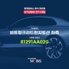 현대모비스바트렁크리드힌지토션 좌측 (81291AA020)