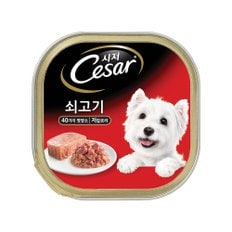 시저 강아지캔 쇠고기맛 100g X 6개