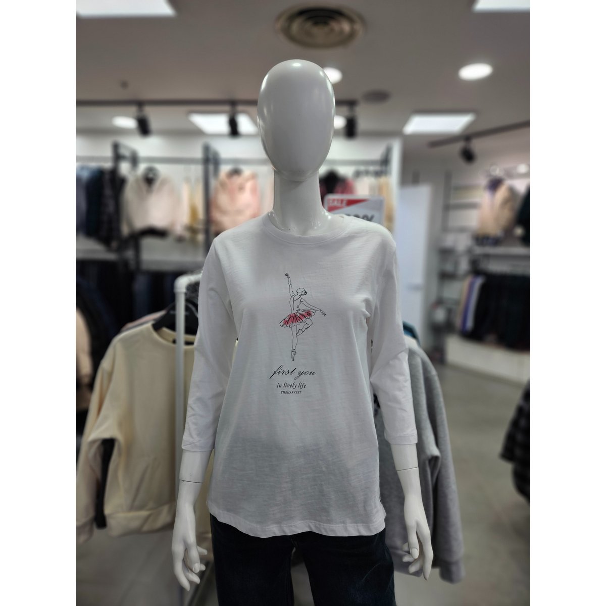확대된 대표 1