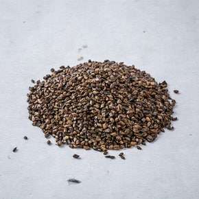 결명자 100g 수입 결명자차 결명초씨 식수