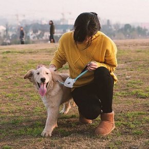 이지고 강아지 리드줄(L) 애견 개목줄 산책줄 반려견 (W7C05FA)