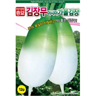 아시아종묘 무종자씨앗 가을김장무(12g) 무말랭이용