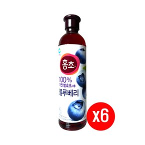 홍초 블루베리 900ml x6개 /17시마감/빠른발송/정품보장