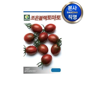 조은블랙 방울 토마토 씨앗 1000립 . 대추형 야채 채소 텃밭 파종 씨 종자