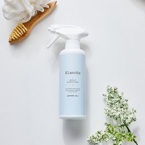 Blanche 곰팡이제거제 300ML