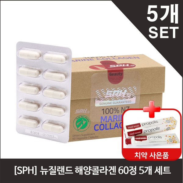확대된 대표 이미지1