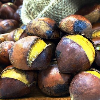 팜쿡 국내산 홀라당 특 포르단밤(칼집) 1kg