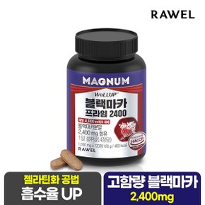 웰업 매그넘 블랙마카 프라임 2400 120정 x 1통