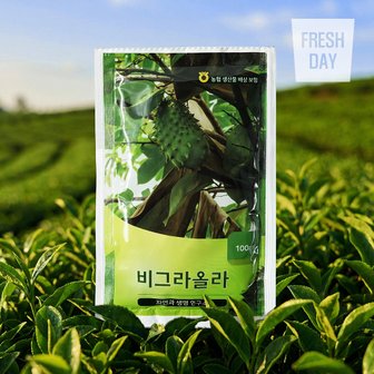 프레시데이 [비그라올라] 그라비올라 헛개열매 복합 추출액 100ml 60포 (가시여지잎 38%)