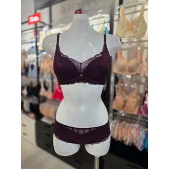 비너스 [시흥점] S 비너스 ) 24aw 풀커버리지 브라, 헴팬티 세트[VBR0991/VPT0991H-WI]