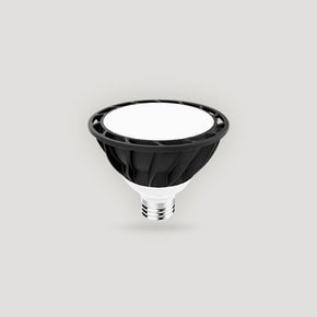 나스필 LED PAR30 램프 15W (삼성칩/주광색,전구색/KS인증)