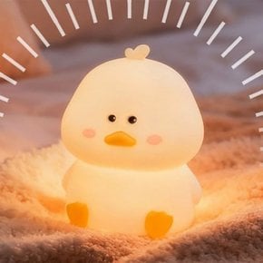 앉아 있는 오리 무드등